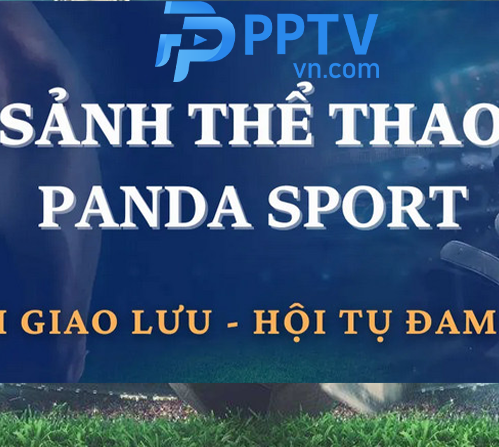 SẢNH Panda Sports